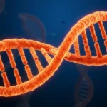 What Is the Salmon DNA Vaccine? A Comprehensive Guide for 2026